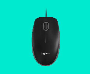  B100, LOGITECH, Mouse,  optical USB, BLACK.