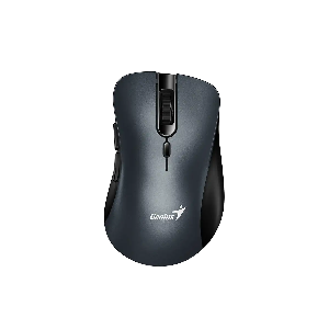 Ergo 8100S, GENIUS, Mouse, Wireless, IRON GRAY.